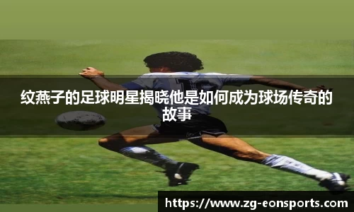 纹燕子的足球明星揭晓他是如何成为球场传奇的故事